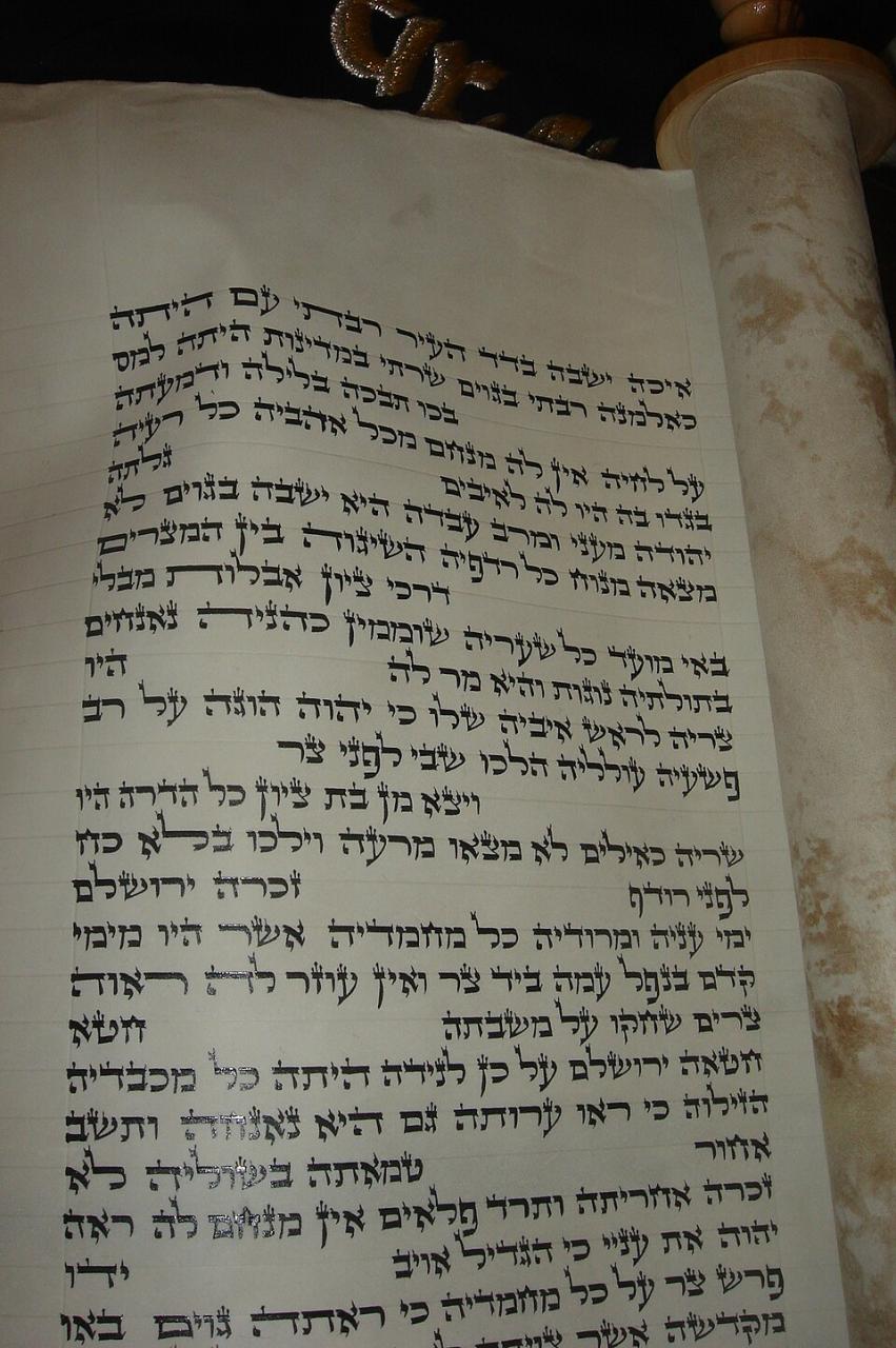 זכויות שמורות